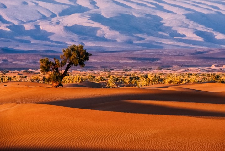 Morocco berbers roaming, Erg Chigaga dunes