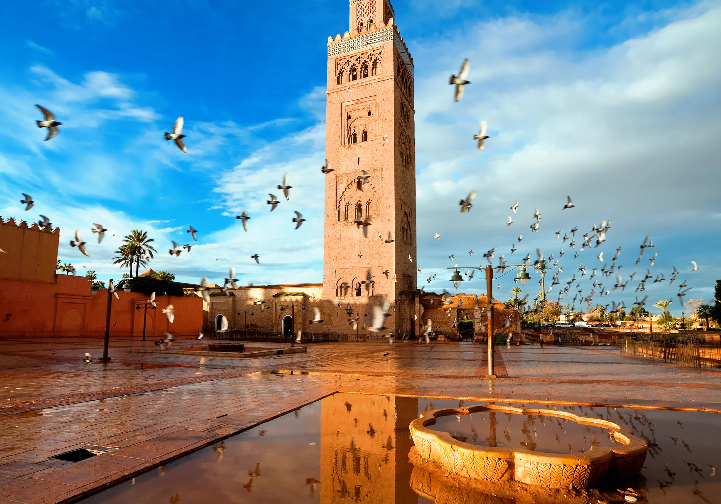 Morocco berbers roaming, morocco desert tour, marrakech