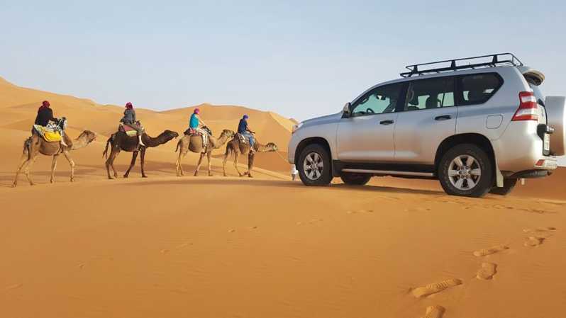moroccan berbers roaming, majestic day trip to chegaga dunes