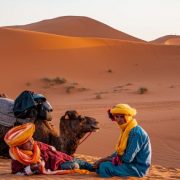 moroccan berbers roaming, ten Fascinating Facts about Moroccan Berbers